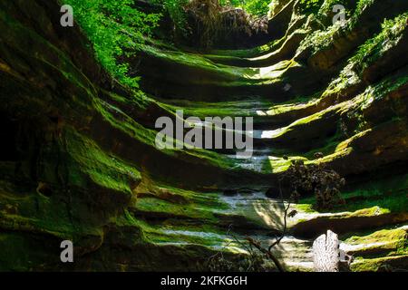 Ein atemberaubender Blick auf den grünen moosigen French Canyon unter hellem Sonnenlicht im Hungered Rock State Park Stockfoto