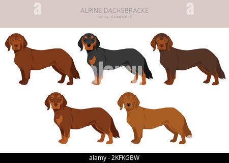 Alpine Dachsbracke Cliparts. Verschiedene Posen, Fellfarben eingestellt. Vektorgrafik Stock Vektor