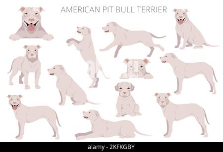 American Pit Bull Terrier Hunde Clipart. Farbvarianten, Infografik. Vektorgrafik Stock Vektor