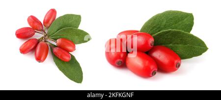 Frische Berberitze mit Blättern auf weißem Hintergrund isoliert. top View Stockfoto