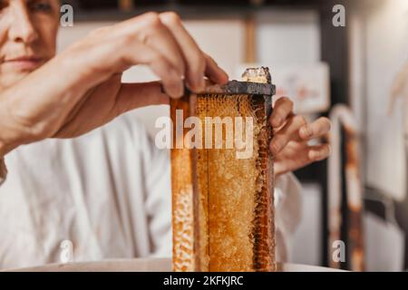 Honigwaben, Bienenzucht und Hände von Frauen auf einem nachhaltigen Bauernhof für Honig, Bienenwachs und Lebensmittel in der Landwirtschaft. Bienenbauer in Werkstatt für Stockfoto