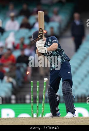 Phil Salt of England wurde von Josh Hazlewood of Australia während des zweiten Spiels der One Day International-Serie zwischen Australien und England auf dem Sydney Cricket Ground am 19. November 2022 in Sydney, Australien, gebeizt.(Foto: Izhar Khan) BILD NUR FÜR REDAKTIONELLE VERWENDUNG - ABSOLUT KEINE KOMMERZIELLE NUTZUNG Stockfoto
