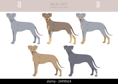 Blue Lacy Clipart. Verschiedene Fellfarben und Posen eingestellt. Vektorgrafik Stock Vektor