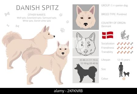 Dänischer Spitz Clipart. Verschiedene Posen, Fellfarben eingestellt. Vektorgrafik Stock Vektor