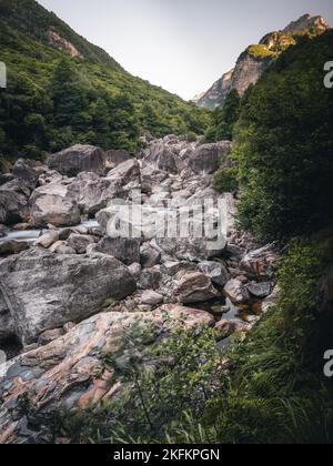 Eine vertikale Aufnahme von Steinen in einem bergigen Gebiet mit viel Grün, Lavertezzo, Schweiz, Kanton Tessin Stockfoto