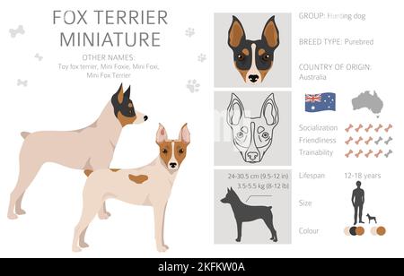 Miniatur-Clipart von Fox Terrier. Verschiedene Fellfarben eingestellt. Vektorgrafik Stock Vektor