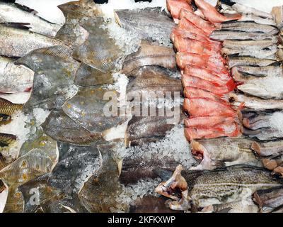 Verschiedene Sorten von Fisch und Meeresfrüchten an der Fischtheke auf dem Stadtmarkt, Theke mit Meeresfrüchten, Garnelen und Langusten mit Fisch. Meeresfrüchte auf Displa Stockfoto
