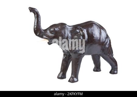 Brawn elefant Stockfoto