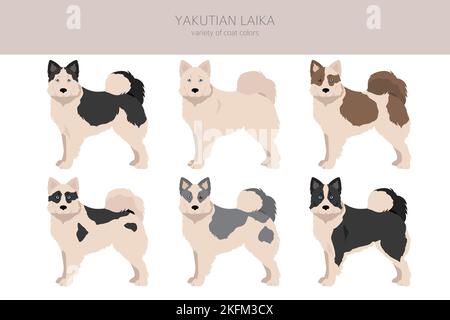 Yakutian Laika Clipart. Verschiedene Posen, Fellfarben eingestellt. Vektorgrafik Stock Vektor