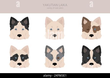 Yakutian Laika Clipart. Verschiedene Posen, Fellfarben eingestellt. Vektorgrafik Stock Vektor