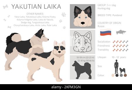 Yakutian Laika Clipart. Verschiedene Posen, Fellfarben eingestellt. Vektorgrafik Stock Vektor