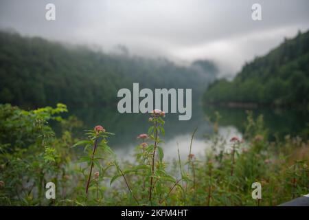 In Georgien ist der Shaor-Stausee sehr schön Stockfoto