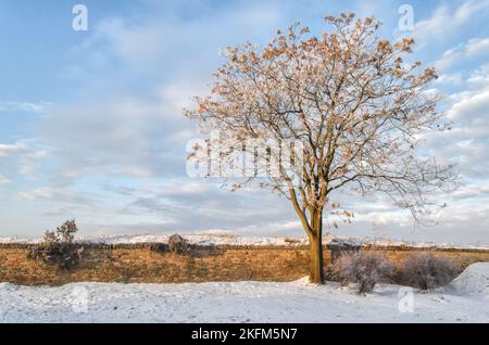 Panoramablick auf schneebedeckte Teile der Festung Petrovaradin. Stockfoto