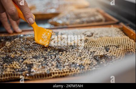 Honig, Rahmen und Nahaufnahme von Kratzwerkzeugen für die Bienenzucht, Landwirtschaft oder Lebensmittel in der Bienenzucht. Imker, Wabenarbeiter und Imker Stockfoto