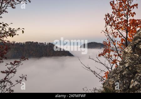 Schöne und einzigartige Berglandschaft. In den Wolken schwimmende Hügel in den polnischen Bergen. Foto aufgenommen in Sokolica Peak, Polen. Stockfoto