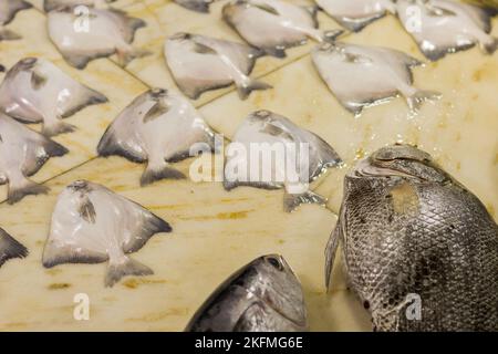 Verschiedene Seefische, die für den Verkauf auf dem Fischmarkt Indiens zusammengehalten werden. Frischer Fang aus dem Meer. Stockfoto
