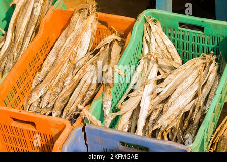 Getrockneter Fisch wird auf den Fischmärkten von Digha West bengalen verkauft. Stockfoto