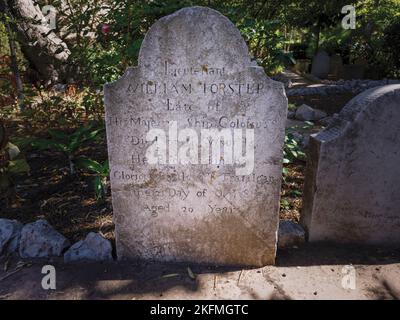 Trafalgar Cemetery, Gibraltar. Dies ist das Grab von Leutnant William Forster, einem von zwei Kämpfern, die in Gibraltar an den Folgen von Wunden gestorben sind Stockfoto