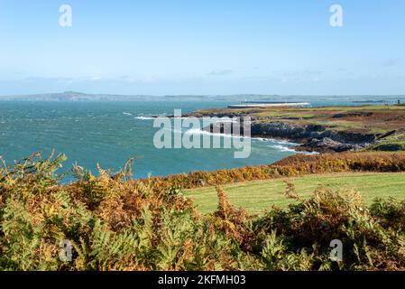 Blick vom Küstenpfad auf den Breakwater Country Park, Holyhead, Anglesey, North Wales Stockfoto