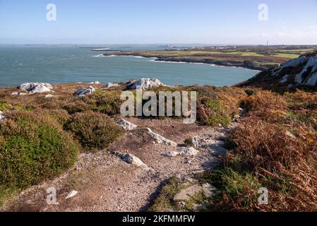 Blick auf Holyhead vom Küstenpfad zum North Stack vom Breakwater Country Park, Anglesey, North Wales. Stockfoto