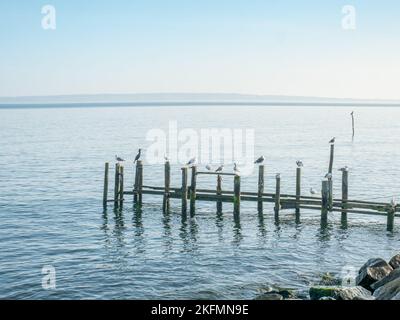 Der Rest der Pfeiler und Stangen der Hafenmole im Fischerdorf Vitt bei Kap Arkona auf Rügen, Deutschland Stockfoto