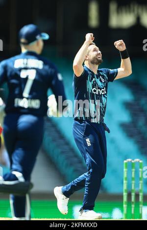 Sydney, Australien. 19.. November 2022. 19.. November 2022; Sydney Cricket Ground, Sydney, NSW, Australien; 2. One Day International Cricket Australien gegen England; Chris Woakes aus England feiert die Teilnahme an Travis Head of Australia für 19 Runs Credit: Action Plus Sports Images/Alamy Live News Stockfoto