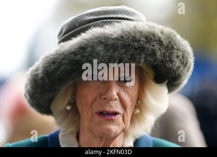 Der Queen Consort kommt am Samstag am November Racing Wochenende auf der Ascot Racecourse an. Bilddatum: Samstag, 19. November 2022. Stockfoto