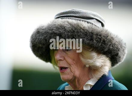 Der Queen Consort kommt am Samstag am November Racing Wochenende auf der Ascot Racecourse an. Bilddatum: Samstag, 19. November 2022. Stockfoto