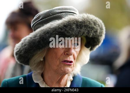 Der Queen Consort kommt am Samstag am November Racing Wochenende auf der Ascot Racecourse an. Bilddatum: Samstag, 19. November 2022. Stockfoto