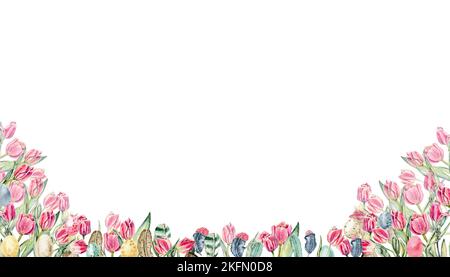 Florale nahtlose horizontale Grenze mit rosa Blumen, grünen Blättern und Pflanzen, Tulpen. Aquarellmuster auf weißem Hintergrund, Panoramabild Stockfoto