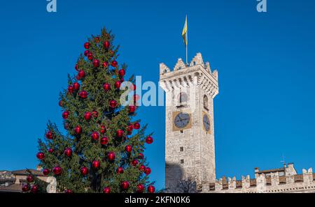 Trento Weihnachten, Glockenturm der Kathedrale auf der piazza del Duomo in Trento mit Weihnachtsbaum - Trento Stadt, Trentino Alto Adige - Norditalien, Stockfoto