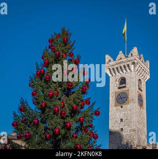 Trento Weihnachten, Glockenturm der Kathedrale auf der piazza del Duomo in Trento mit Weihnachtsbaum - Trento Stadt, Trentino Alto Adige - Norditalien, Stockfoto