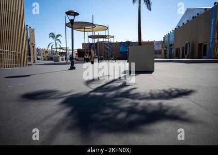 Charm El Scheich, Ägypten. 19.. November 2022. Nach dem offiziellen Ende des UN-Klimagipfels COP27 wirft eine Palme einen Schatten auf den Boden. Selbst am ersten Tag der Verlängerung des Gipfels scheint keine Einigung in Sicht zu sein. Quelle: Christophe Gateau/dpa/Alamy Live News Stockfoto