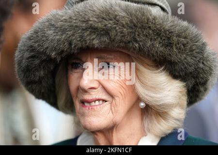 Der Queen Consort kommt am Samstag am November Racing Wochenende auf der Ascot Racecourse an. Bilddatum: Samstag, 19. November 2022. Stockfoto