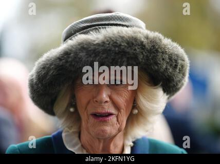 Der Queen Consort kommt am Samstag am November Racing Wochenende auf der Ascot Racecourse an. Bilddatum: Samstag, 19. November 2022. Stockfoto