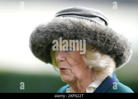 Der Queen Consort kommt am Samstag am November Racing Wochenende auf der Ascot Racecourse an. Bilddatum: Samstag, 19. November 2022. Stockfoto