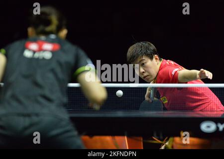 Bangkok, Thailand. 19.. November 2022. Wang Yidi aus China ist im Finale der Frauen gegen Ito Mima aus Japan beim Asian Cup 2022 Tischtennis in Bangkok, Thailand, am 19. November 2022 im Dienst. Quelle: Rachen Sageamsak/Xinhua/Alamy Live News Stockfoto