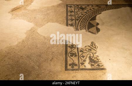 Trento: Archäologische Stätte - unter dem historischen Zentrum von Trient befindet sich die antike römische Stadt Tridentum - Trentino Alto Adige, Italien Stockfoto