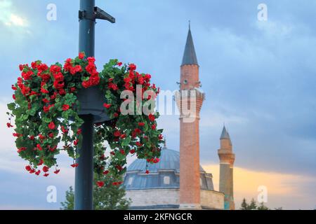 Ein Blumentopf mit Blumen, die an einem Lampenpfahl hängen. Platz der Republik im Hintergrund oder Platz der Republik im Herzen der Altstadt. Selektiver Fokus Stockfoto