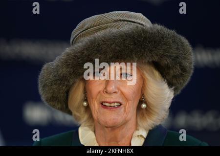 Die Königin Consort am November Racing Wochenende Samstag auf Ascot Racecourse. Bilddatum: Samstag, 19. November 2022. Stockfoto