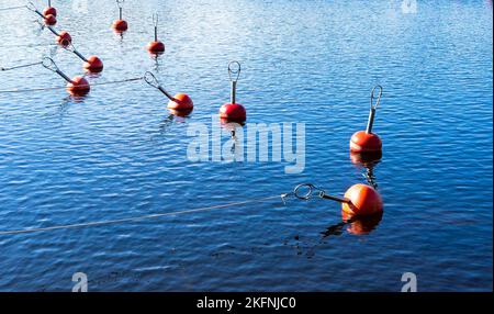 Rote Bojen auf dem Meereswellen Hintergrund Stockfoto