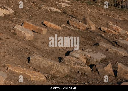 Alte jüdische Gräber auf dem „Sambosky Friedhof“ im Wadi Al-Rababeh in Silwan oder Siloam, einem überwiegend palästinensischen Viertel, am Rande der Altstadt von Ost-Jerusalem. Israel Stockfoto
