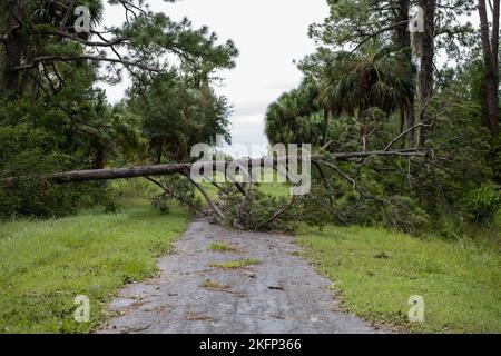 Schäden durch den Ungezwungener Ian wurden auf der MacDill Air Force Base, Florida, am 29. September 2022, gezeigt. Hurrikan Ian landestürf im Südwesten Floridas als Hurrikan der Kategorie 4. Stockfoto