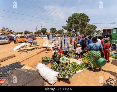 Mangos zum Verkauf auf dem Gelände in der Nähe des Marktes in Mzuzu, Malawi Stockfoto