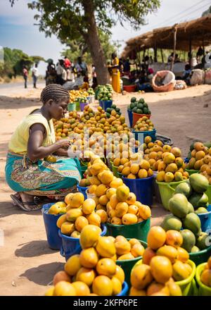 Eine Frau verkauft Eimer Mangos am Straßenrand im ländlichen Malawi Stockfoto