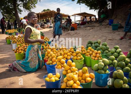 Eine Frau verkauft Eimer Mangos am Straßenrand im ländlichen Malawi Stockfoto