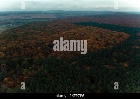 Herbstpanorama aus vergilbten Blättern, Draufsicht auf den bunten Wald, der sich über das Territorium der Ukraine erstreckt. Neu Stockfoto
