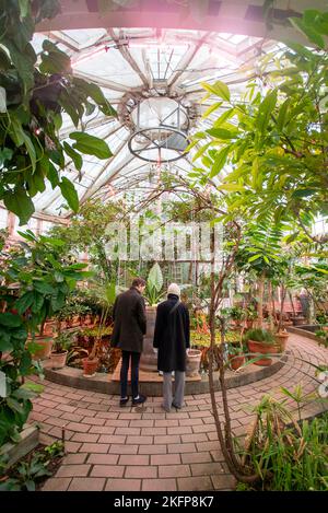 Junges Paar auf einem Date in einem botanischen Garten, der Pflanzen im botanischen Garten von Kopenhagen (Glashaus voller exotischer Pflanzen) betrachtet Stockfoto