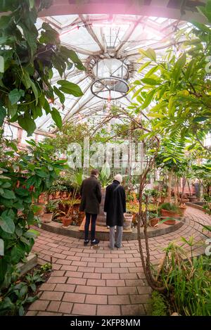 Junges Paar auf einem Date in einem botanischen Garten, der Pflanzen im botanischen Garten von Kopenhagen (Glashaus voller exotischer Pflanzen) betrachtet Stockfoto