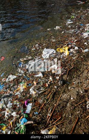 Plastikabfälle und andere Abfälle, die in Wasser schweben, wurden in Sortedams so, Kopenhagen, Dänemark, angespült. Wasserverschmutzung. Plastikmüll schwimmt im Wasser. Stockfoto